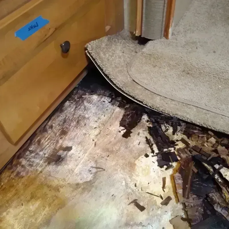 Wood Floor Water Damage in Gardendale, TX